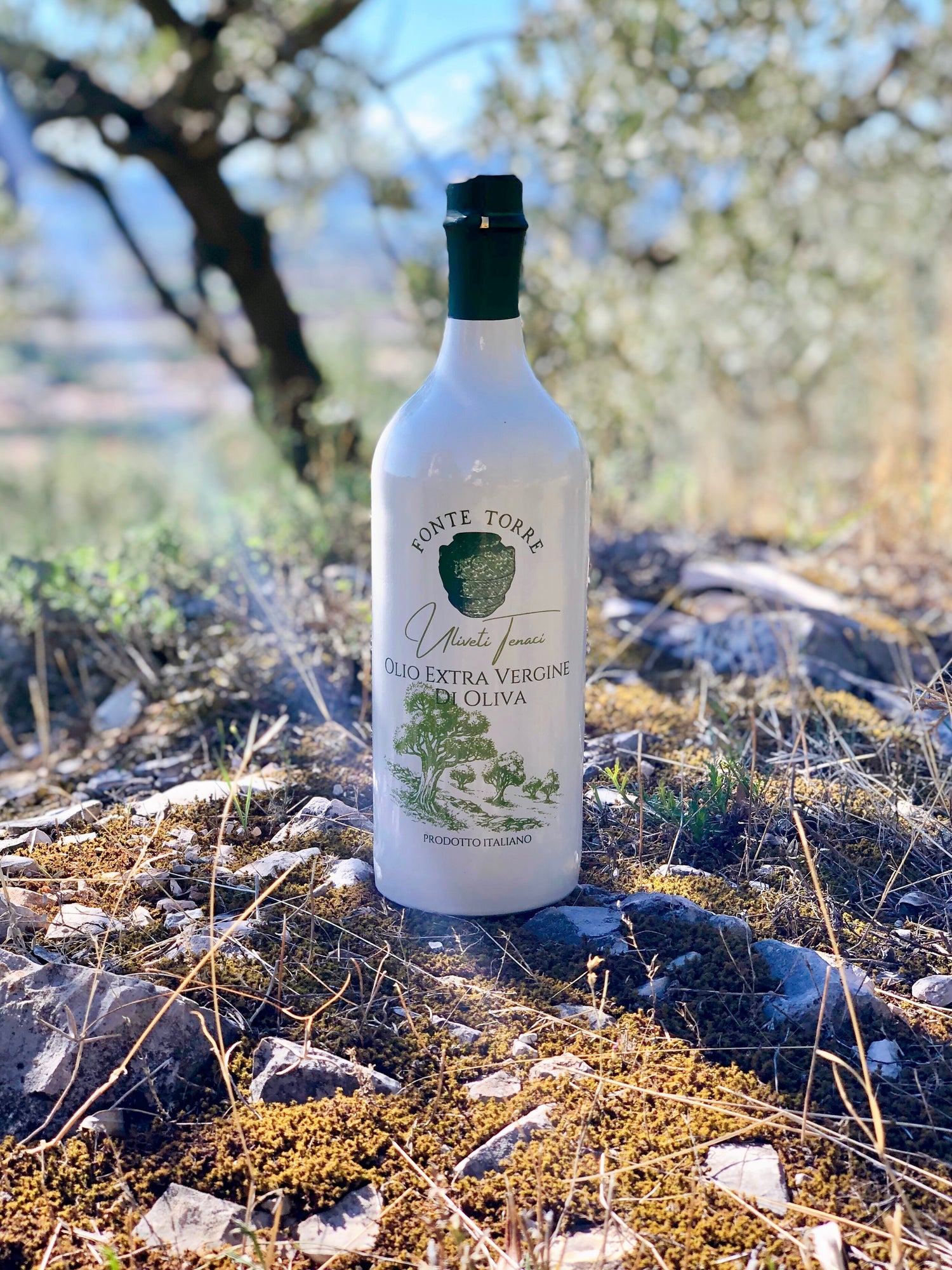 Fonte Torre Olio extravergine di Oliva, Orcio in ceramica "Uliveti Tenaci"